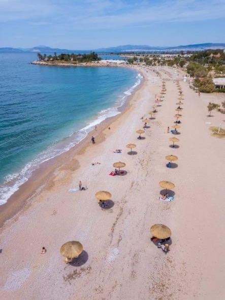 Four Seasons Sea View Apartment Αθήνα Εξωτερικό φωτογραφία